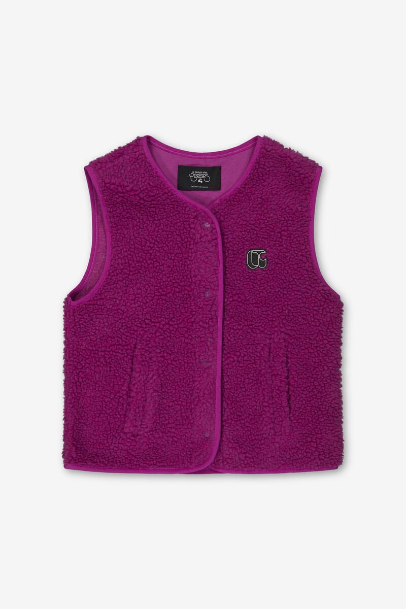 Veste Gudrugi