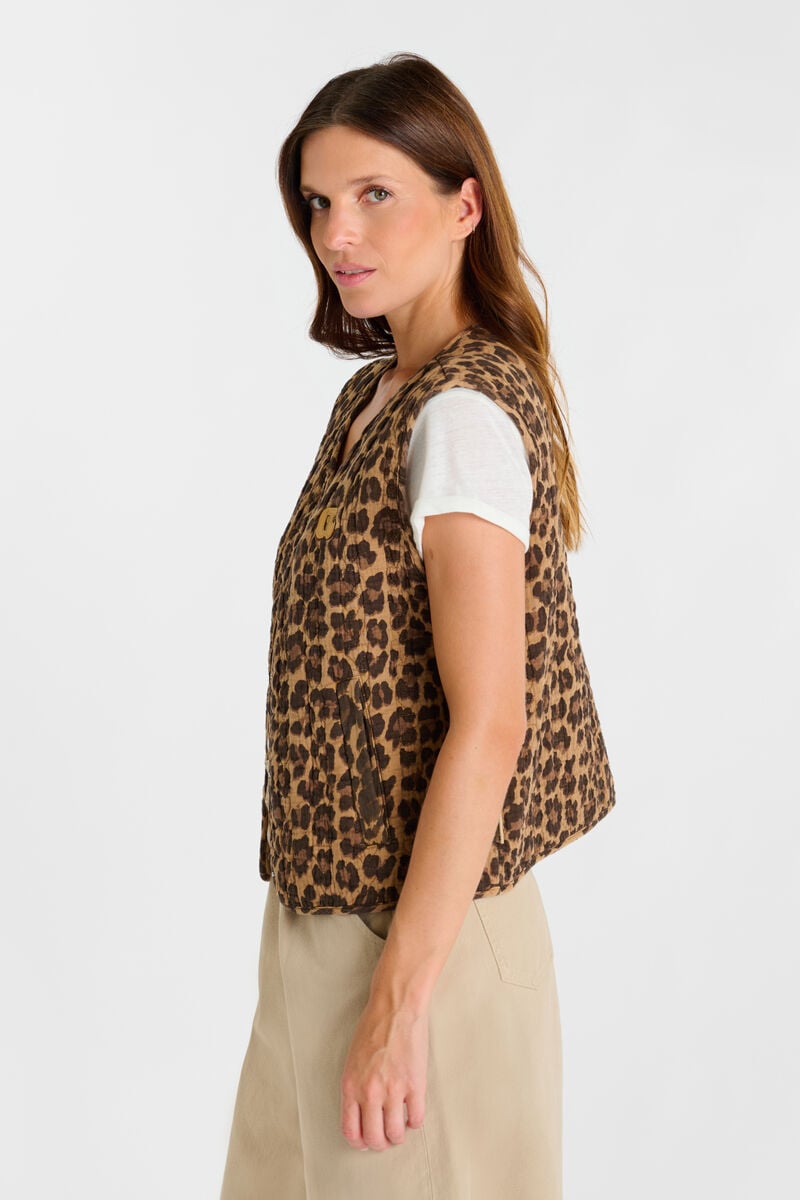 Veste Gudro