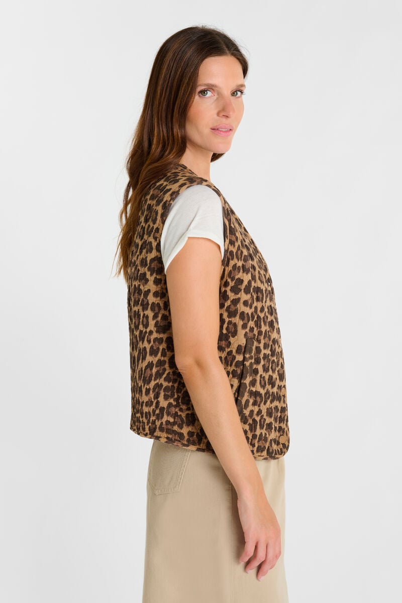 Veste Gudro