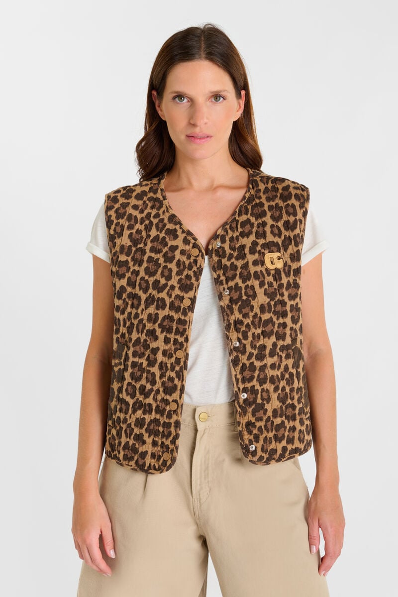 Veste Gudro