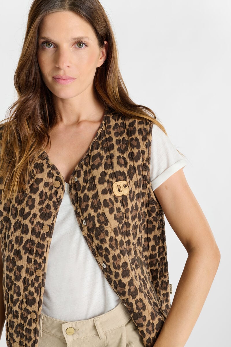 Veste Gudro