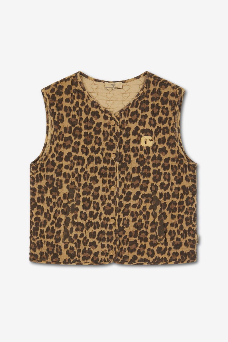 Veste Gudro