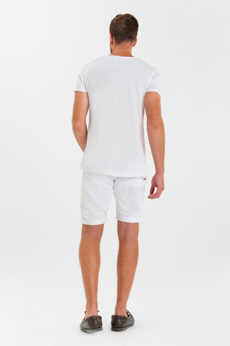 Bermuda Arvid