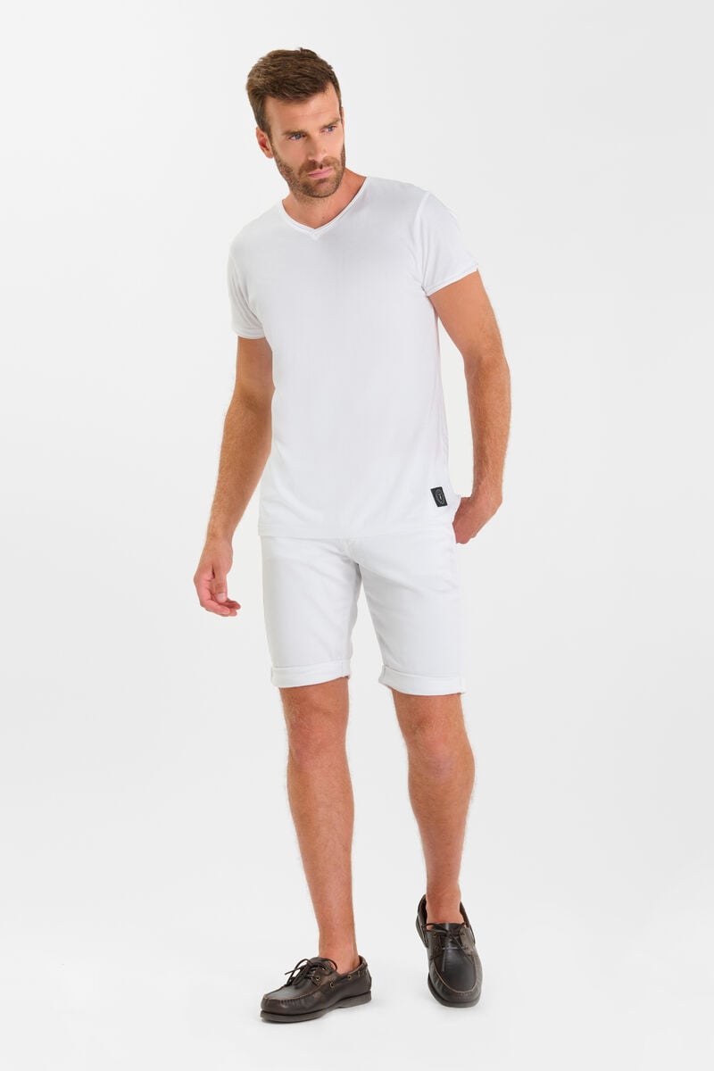 Bermuda Arvid
