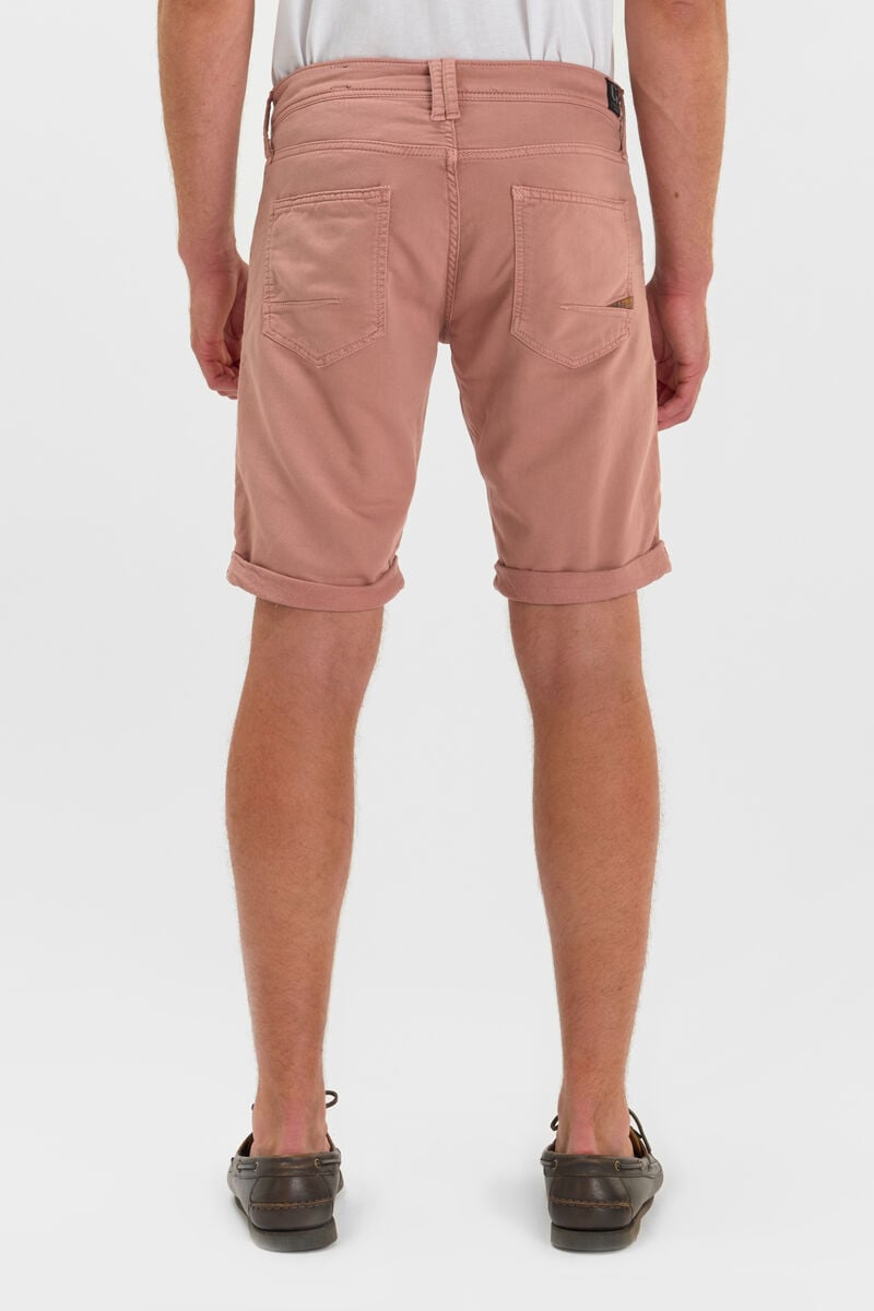 Bermuda Arvid