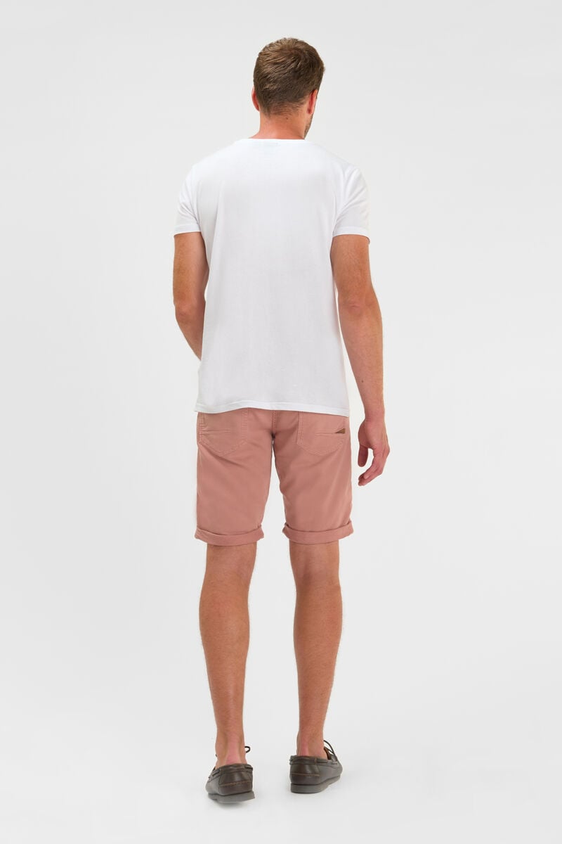 Bermuda Arvid