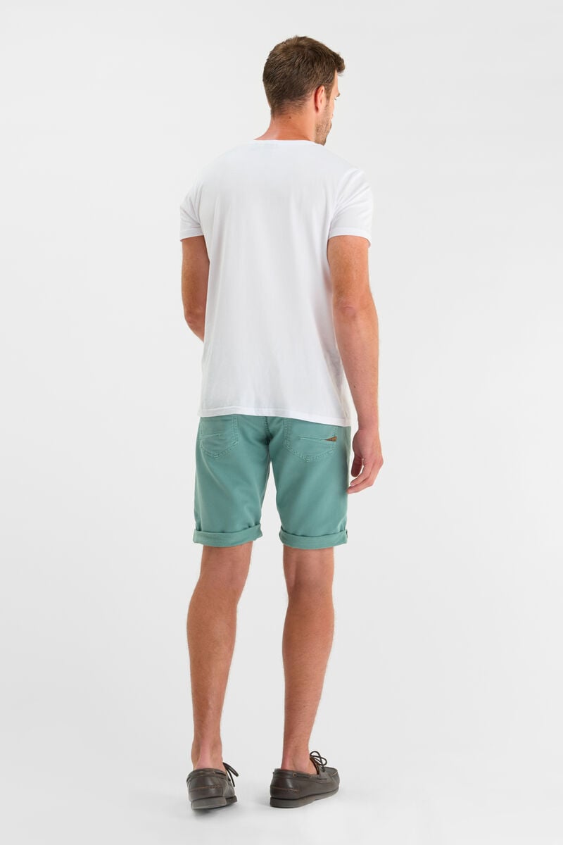 Bermuda Arvid