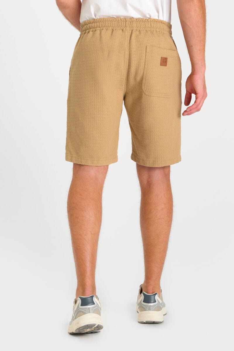 Bermuda Sarny