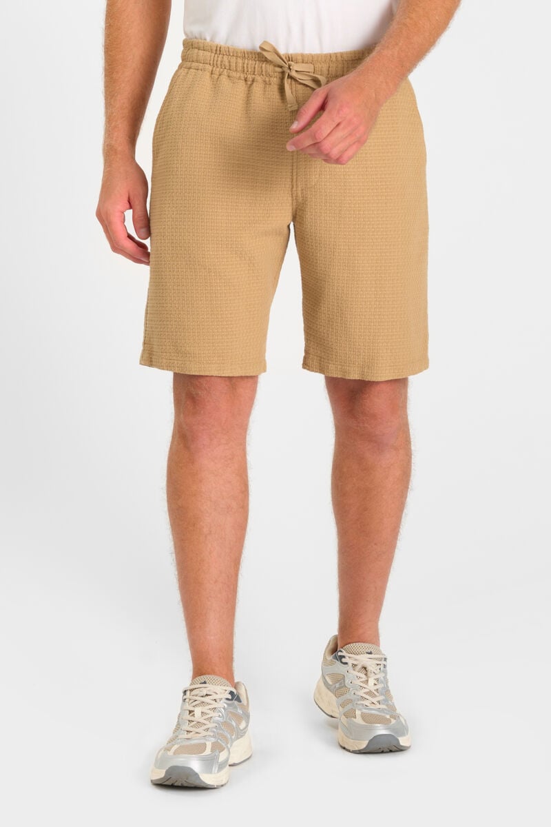 Bermuda Sarny