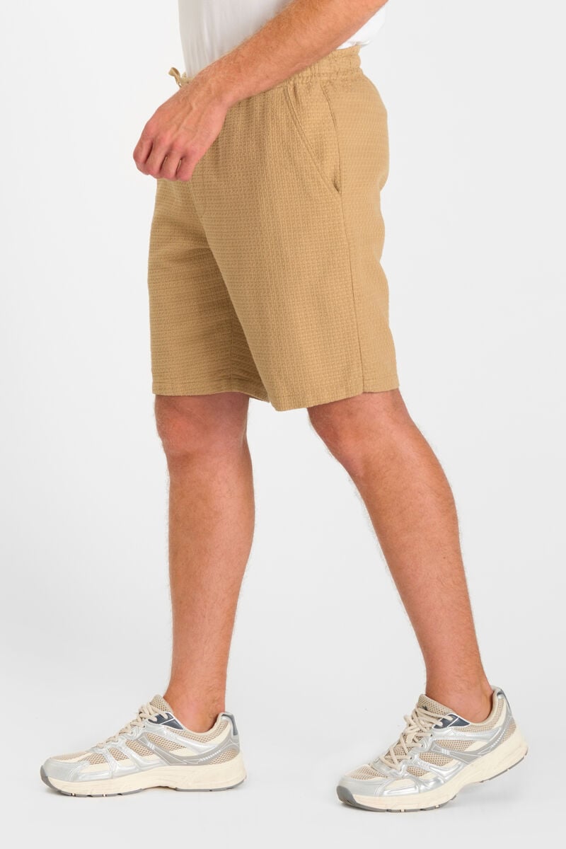 Bermuda Sarny