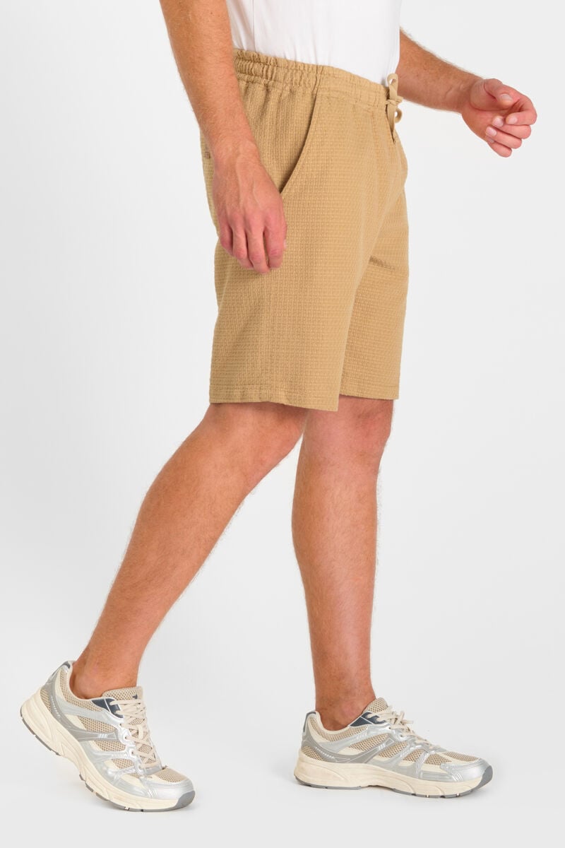 Bermuda Sarny