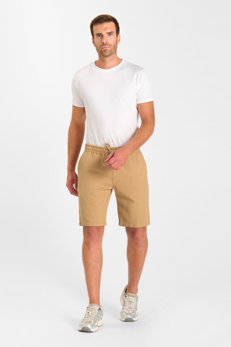 Bermuda Sarny