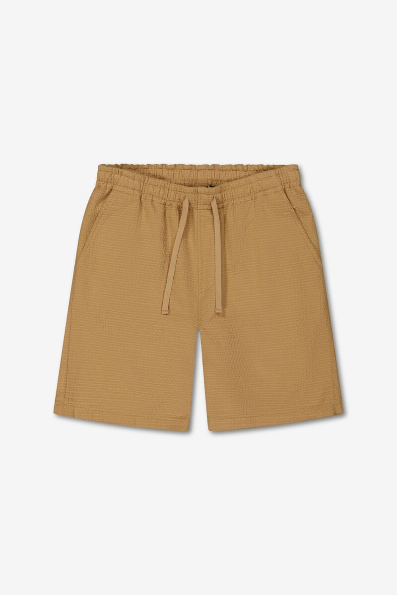 Bermuda Sarny