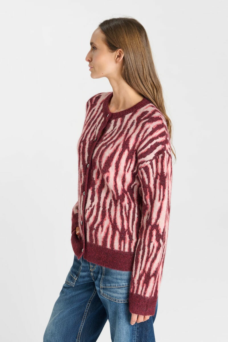 Cardigan Zebry