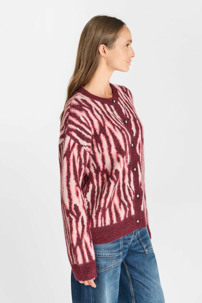Cardigan Zebry