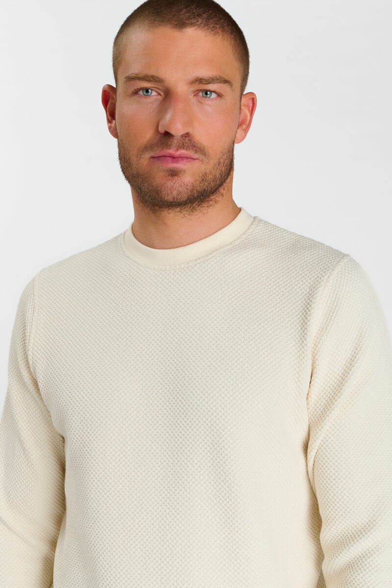 Sweat Cyro