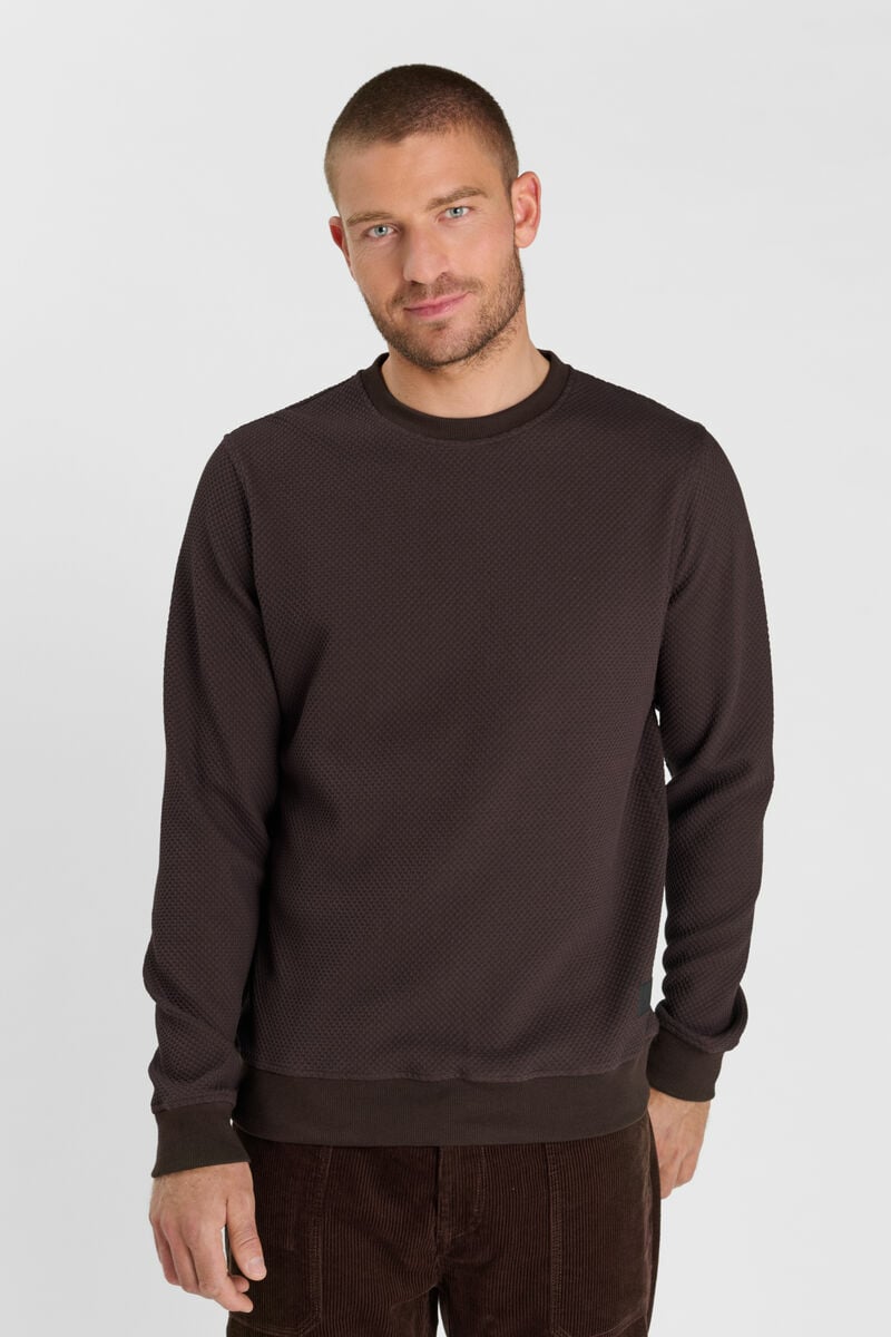 Sweat Cyro