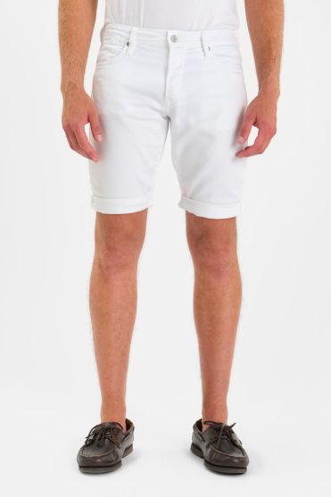 Bermuda Arvid