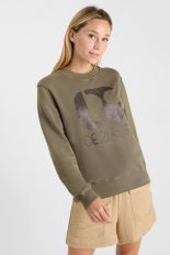 ICE BROWN