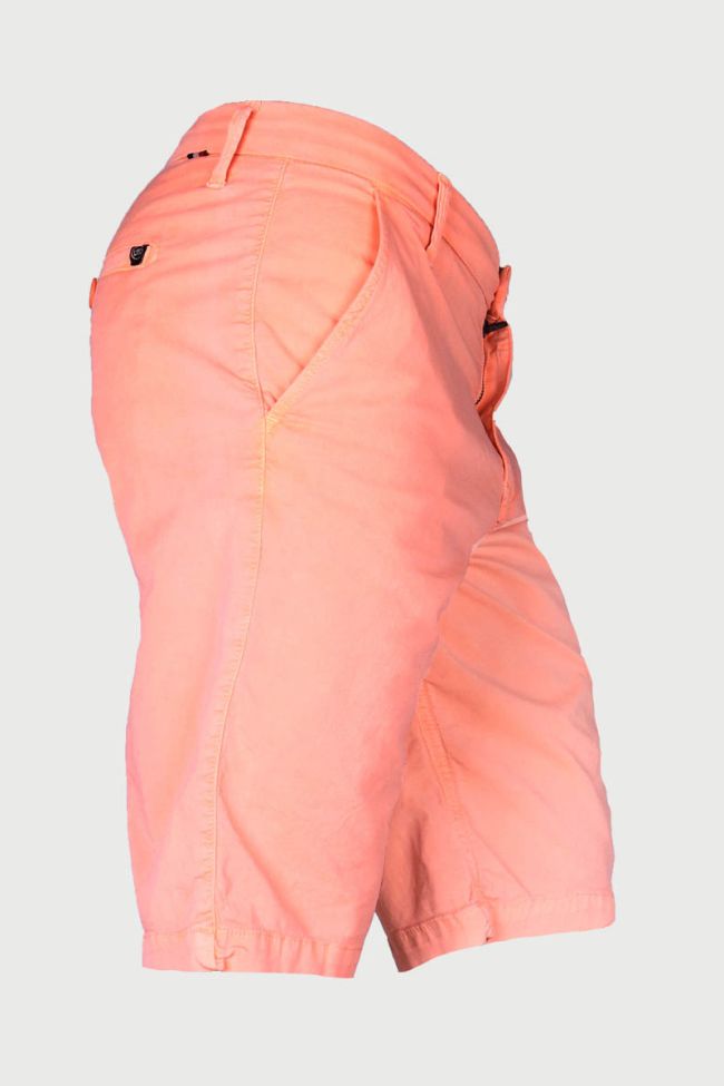 Bermuda Robin orange