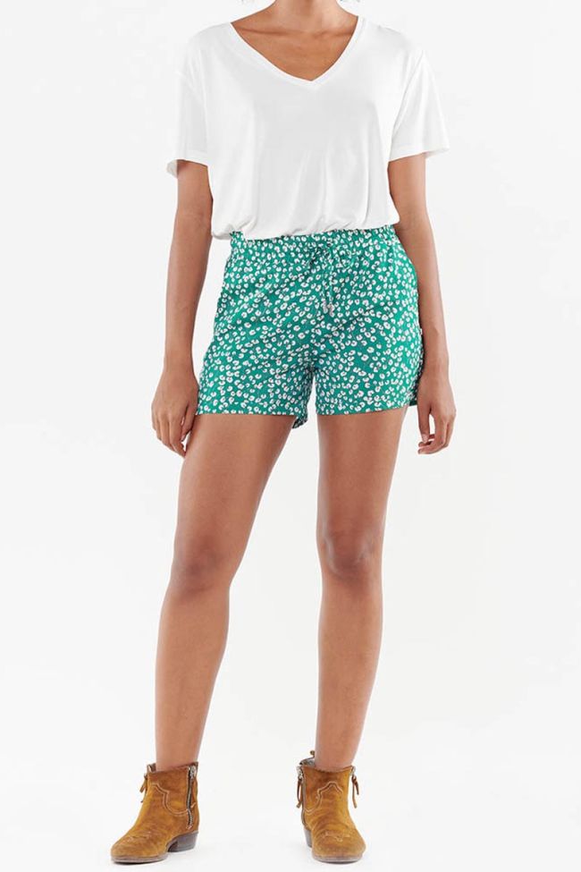 Short Anae vert