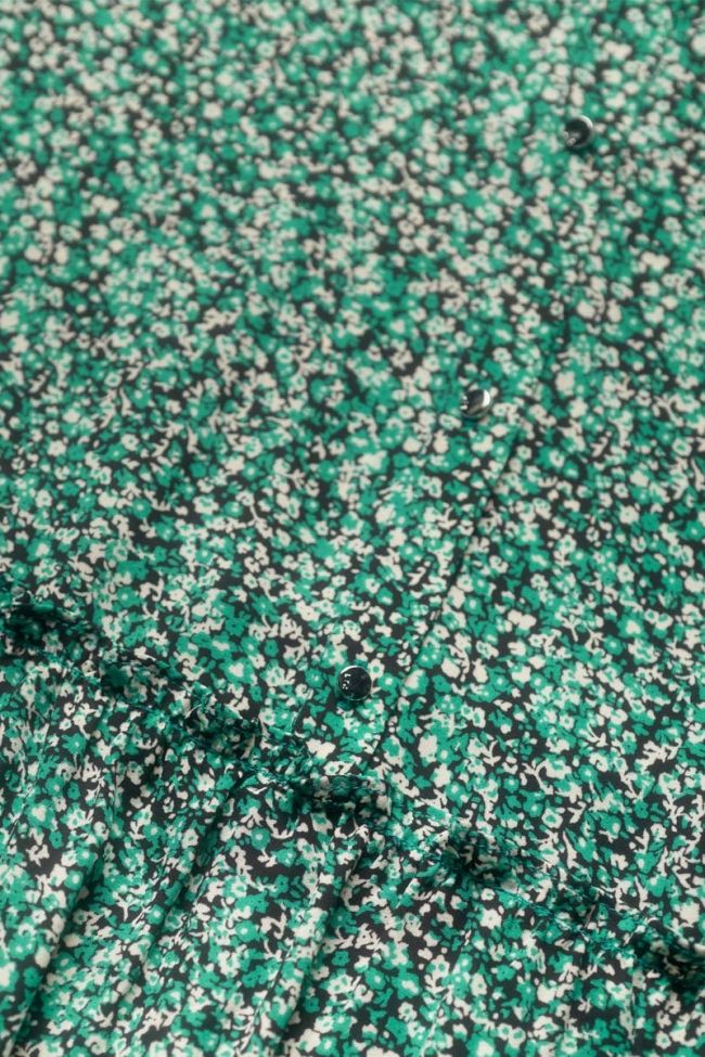 Robe à motif floral Colettagi verte
