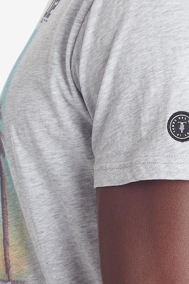 T-shirt Dust gris
