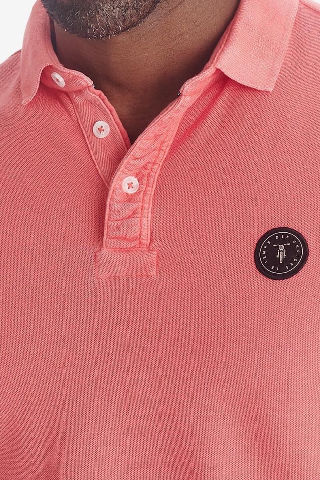 Polo Dylon rose