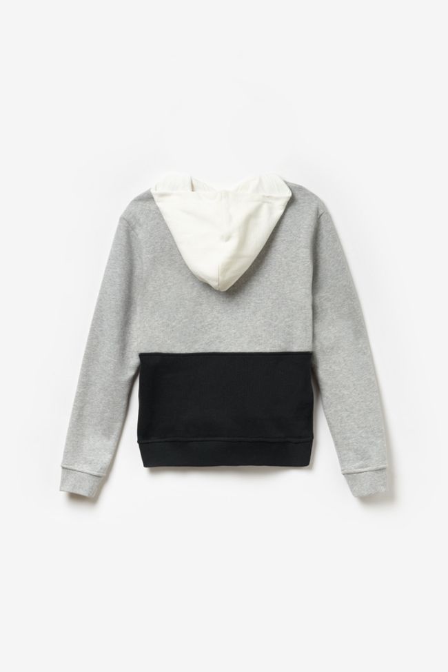 Sweat Indianabo tricolore imprimé