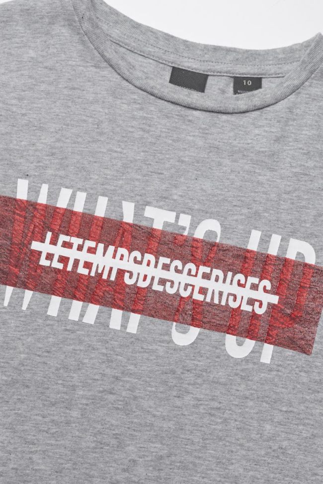 T-shirt Rodeobo imprimé gris 