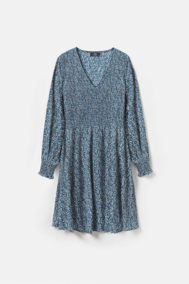 Robe Dickes à motif fleuri bleu