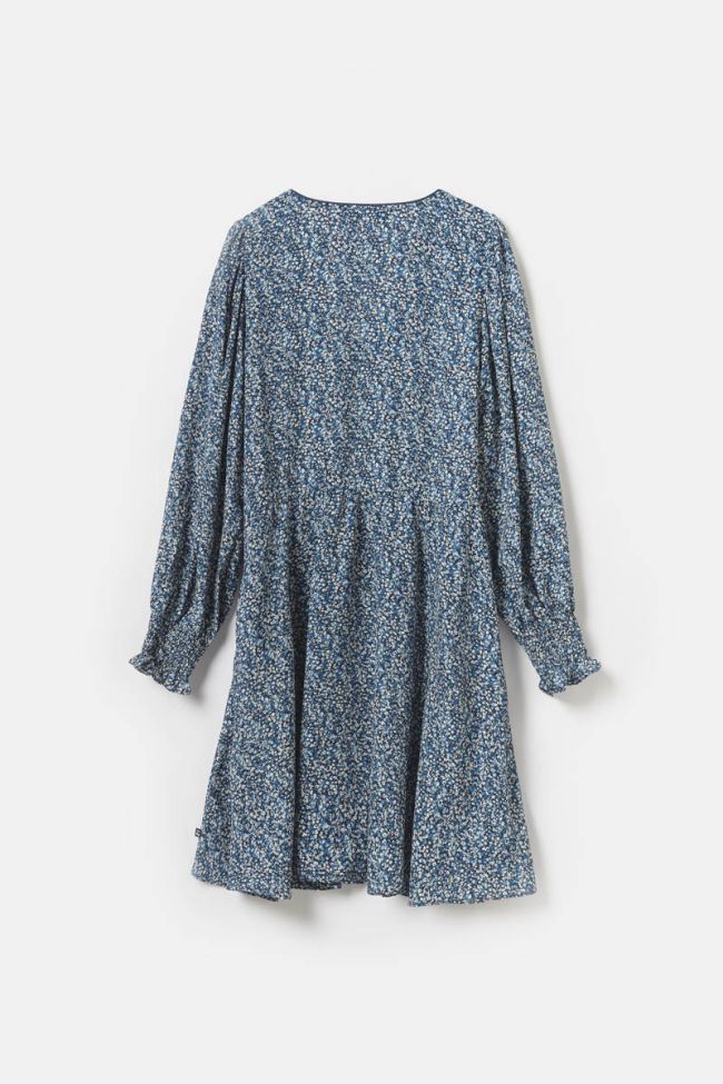Robe Dickes à motif fleuri bleu