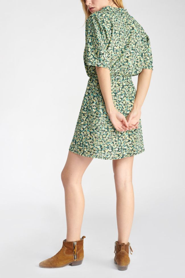 Robe Hade à motif fleuri