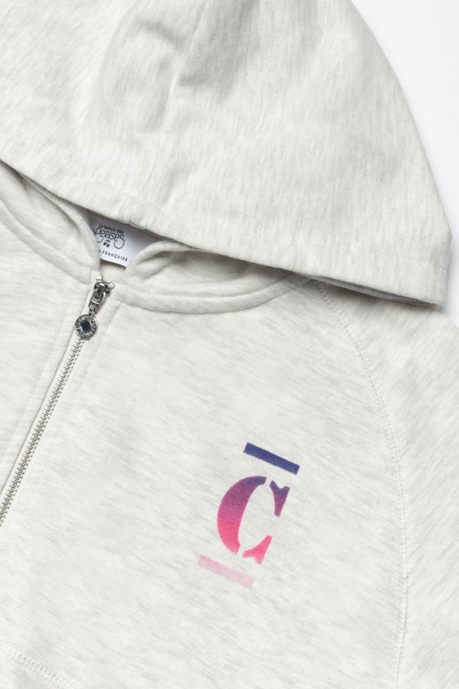 Sweat à capuche Rumgi gris clair