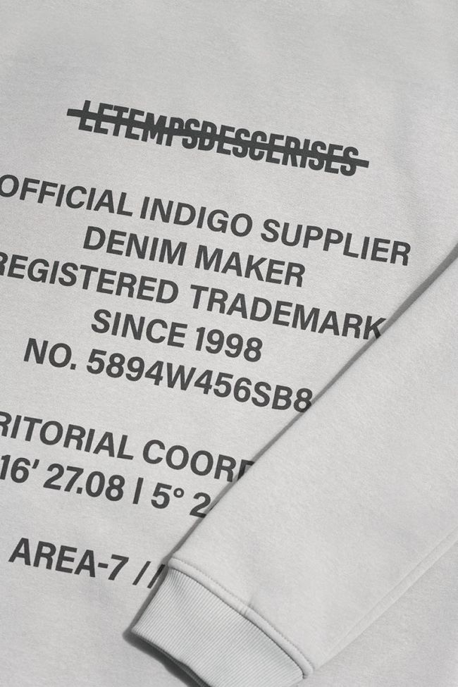 Sweat à capuche Tanbo gris clair