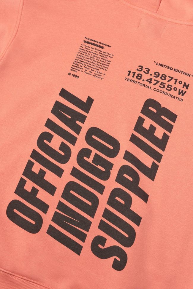 Sweat à capuche Hisabo corail