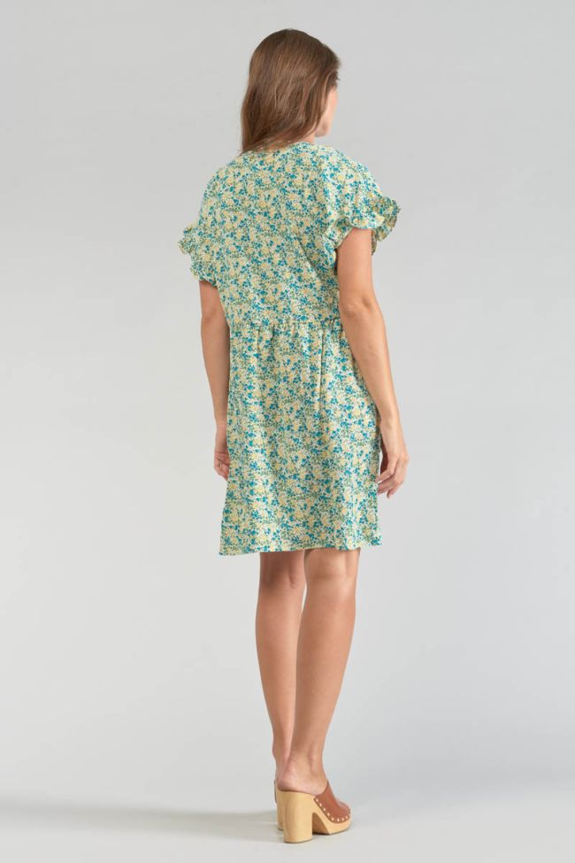 Robe Tate à motif fleuri vert et bleu