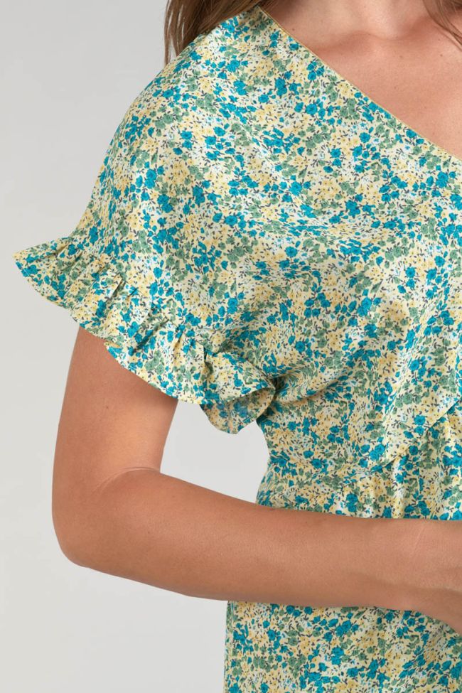 Robe Tate à motif fleuri vert et bleu