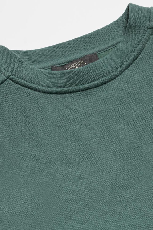 Sweat Leonbo vert sapin