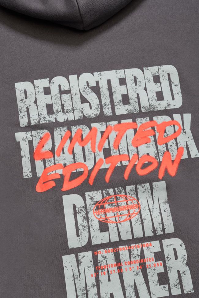 Sweat à capuche Noebo anthracite