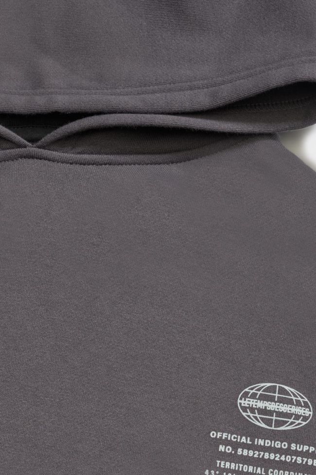 Sweat à capuche Noebo anthracite