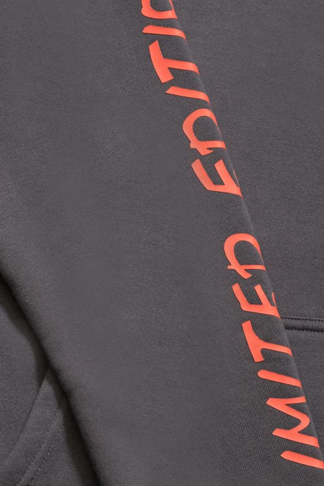 Sweat à capuche Noebo anthracite