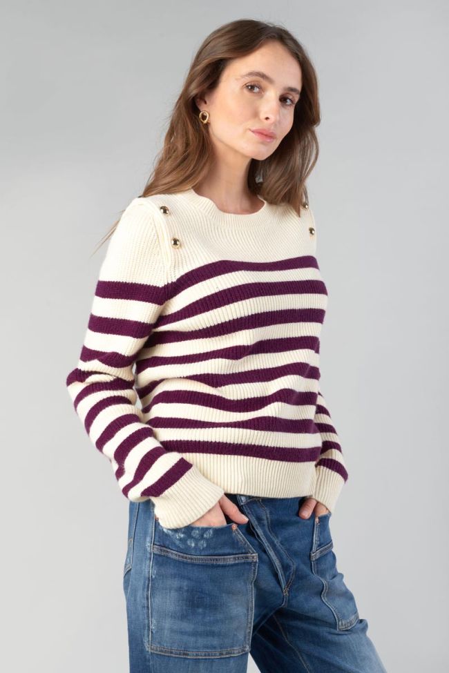 Pull Fania à rayures violettes