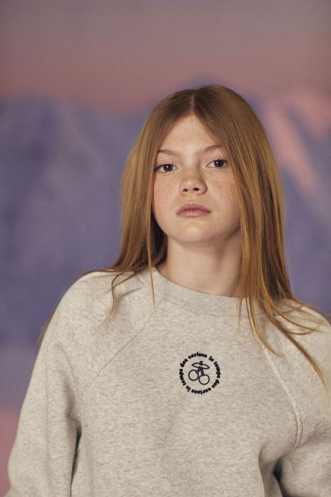 Sweat Cobygi gris chiné