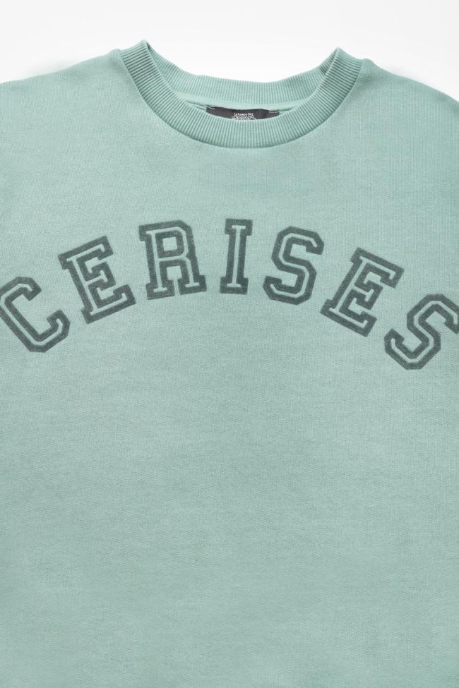 Sweat Moagi vert sauge