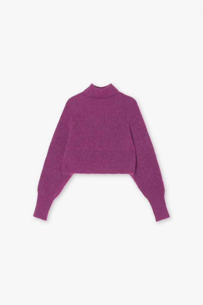 Pull Saiagi fambroise