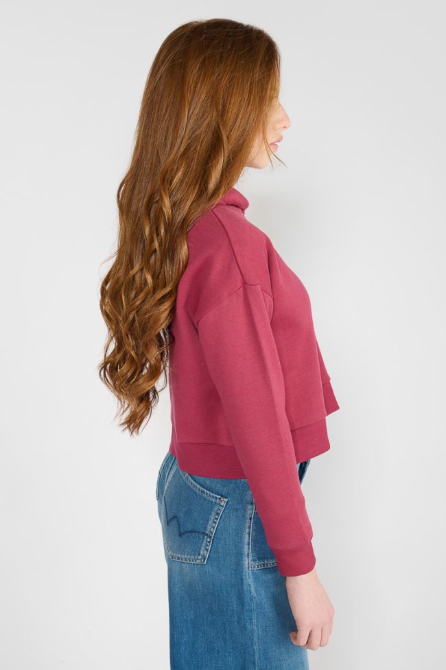 Sweat à capuche Volvagi framboise