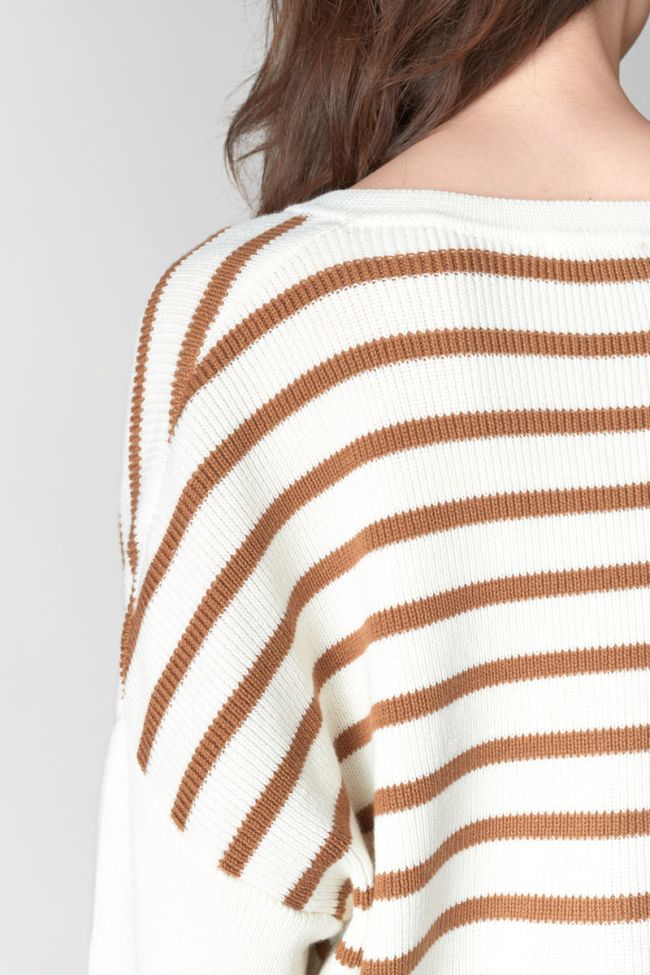 Pull Lobelie à rayures marron