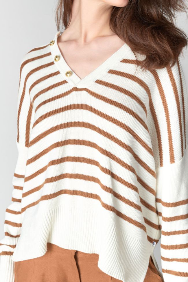 Pull Lobelie à rayures marron