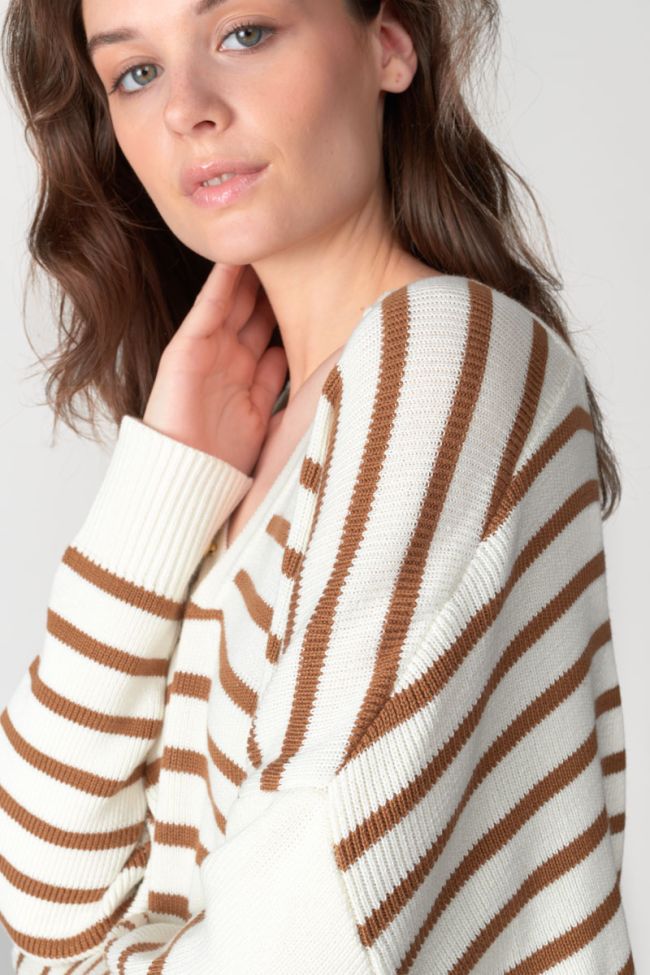 Pull Lobelie à rayures marron
